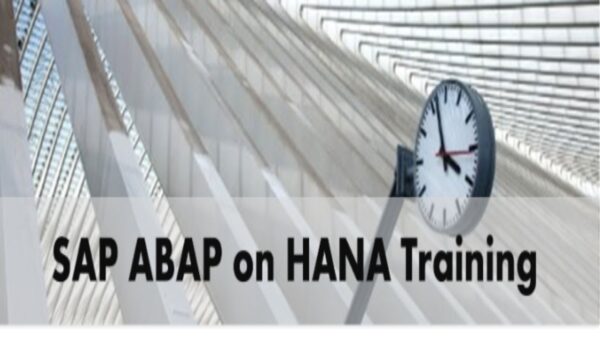 SAP ABAP Online Training