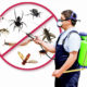 pest removal services