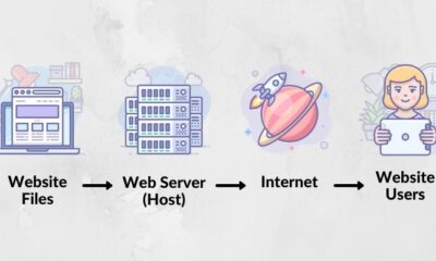 Which hosting is best for beginners?