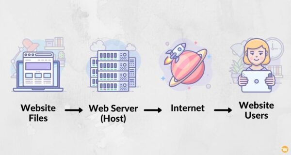 Which hosting is best for beginners?