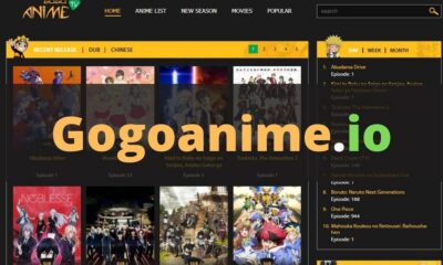 Some Things You Need To Know About GoGoAnime