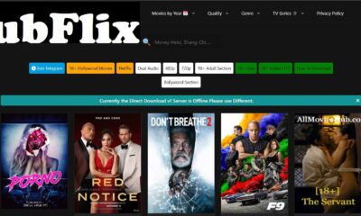 HubFlix 2022: Hubflix 300mb Movies Download Hindi Dubbed Hollywood and Bollywood Movies, Free HD Movies Illegal website Latest News & Updates