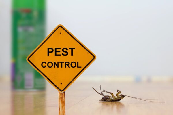 Suggestions for Picking a Reliable Emergency Pest Control Service